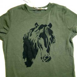 Pony