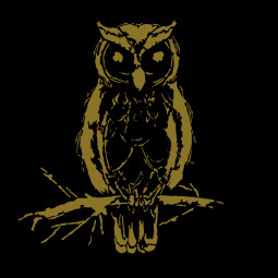 eule vektor gold schwarz